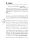 Vista preliminar de documento RGM-17-2024-MDJM