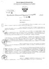 Vista preliminar de documento RDR 2997-2024