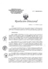 Vista preliminar de documento RD N°206 2024 DG HEJCU