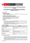 Vista preliminar de documento PERFIL de la CONVOCATORIA 040-2024