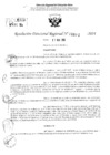 Vista preliminar de documento RDR 3002-2024