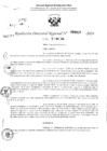 Vista preliminar de documento RDR 3009-2024