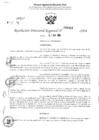 Vista preliminar de documento RDR 3010-2024