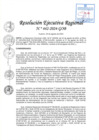 Vista preliminar de documento RER 442-2024-GOB