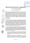 Vista preliminar de documento RER 454-2024-GOB