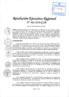 Vista preliminar de documento RER 462-2024-GOB