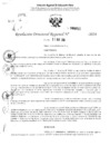 Vista preliminar de documento RDR 3011-2024