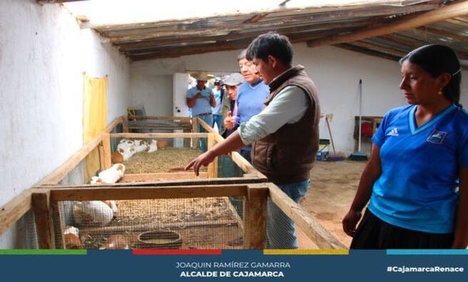 馃彧 La Municipalidad Provincial de Cajamarca, a trav茅s de la gerencia de desarrollo econ贸mico, inaugur贸 diez galpones de "Mejoramiento de las Condiciones de la Crianza de Cuyes" en la Asociaci贸n de Productores Agropecuarios Rayitos de Sol en Los Perolitos del centro poblado de Huacataz (Los Ba帽os del Inca).
馃尵 Esta iniciativa, que beneficia a 20 familias, forma parte del programa PROCOMPITE, un fondo concursable que tiene como objetivo cofinanciar propuestas productivas para contribuir al desarrollo de las poblaciones m谩s necesitadas y mejorar su calidad de vida.
馃挵 La inversi贸n total asciende a S/. 220,263.33 soles, con un aporte de S/ 103,230.53 soles de la Municipalidad Provincial de Cajamarca y un aporte de S/ 117,032.80 soles de la Asociaci贸n en bienes, servicios y efectivo.