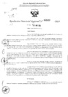 Vista preliminar de documento RDR 3012-2024