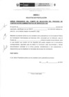 Vista preliminar de documento ANEXOS