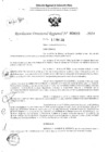 Vista preliminar de documento RDR 3015-2024