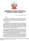 Vista preliminar de documento Resolución de la Gerencia General de la Sunarp N.° 209-2024-SUNARP/GG