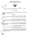 Vista preliminar de documento RDR 2360-2024