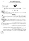 Vista preliminar de documento RDR 2368-2024