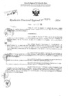 Vista preliminar de documento RDR 2370-2024