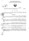 Vista preliminar de documento RDR 2371-2024