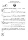 Vista preliminar de documento RDR 2374-2024