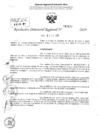 Vista preliminar de documento RDR 2377-2024