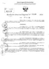 Vista preliminar de documento RDR 2378-2024