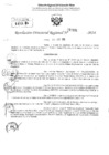 Vista preliminar de documento RDR 2381-2024