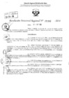 Vista preliminar de documento RDR 2382-2024