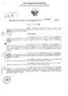Vista preliminar de documento RDR 2384-2024