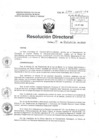 Vista preliminar de documento R.D N° 294-2015 pdf