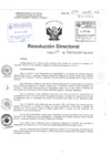 Vista preliminar de documento R.D N° 277-2015 pdf