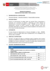 Vista preliminar de documento TDR COMPRA DE PASAJES (1)