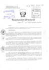 Vista preliminar de documento R.D N° 262-2015 pdf 