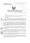Vista preliminar de documento R.D N° 259-2015 pdf 