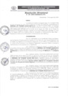 Vista preliminar de documento DR-194-2024-GRSM-DRTC-DTT