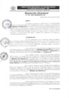 Vista preliminar de documento DR-196-2024-GRSM-DRTC-DTT