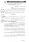 Vista preliminar de documento DR-200-2024-GRSM-DRTC-DTT