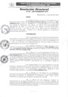 Vista preliminar de documento R.D. N°163-2024-GRSM-DRTC-DTT