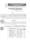 Vista preliminar de documento R.D. N°164-2024-GRSM-DRTC-DTT