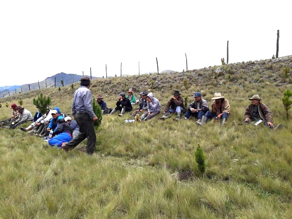 AGRO RURAL