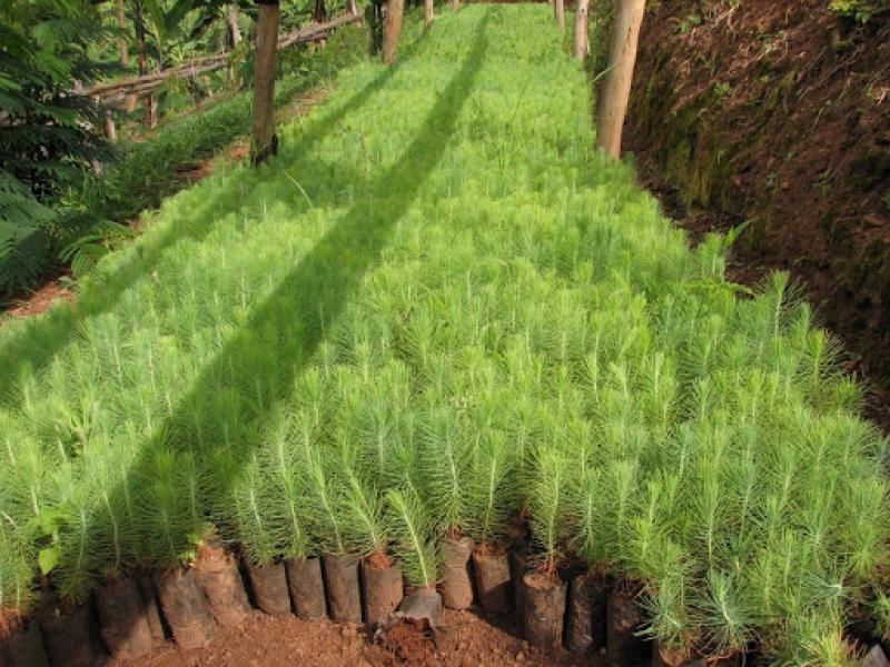 AGRO RURAL