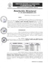 Vista preliminar de documento R.D. N°181-2024-GRSM-DRTC-DTT