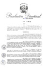 Vista preliminar de documento RD 120-2024-INPE-OGA