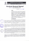 Vista preliminar de documento RDR 294-2024