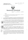 Vista preliminar de documento R.D. N° 135-2015 pdf 