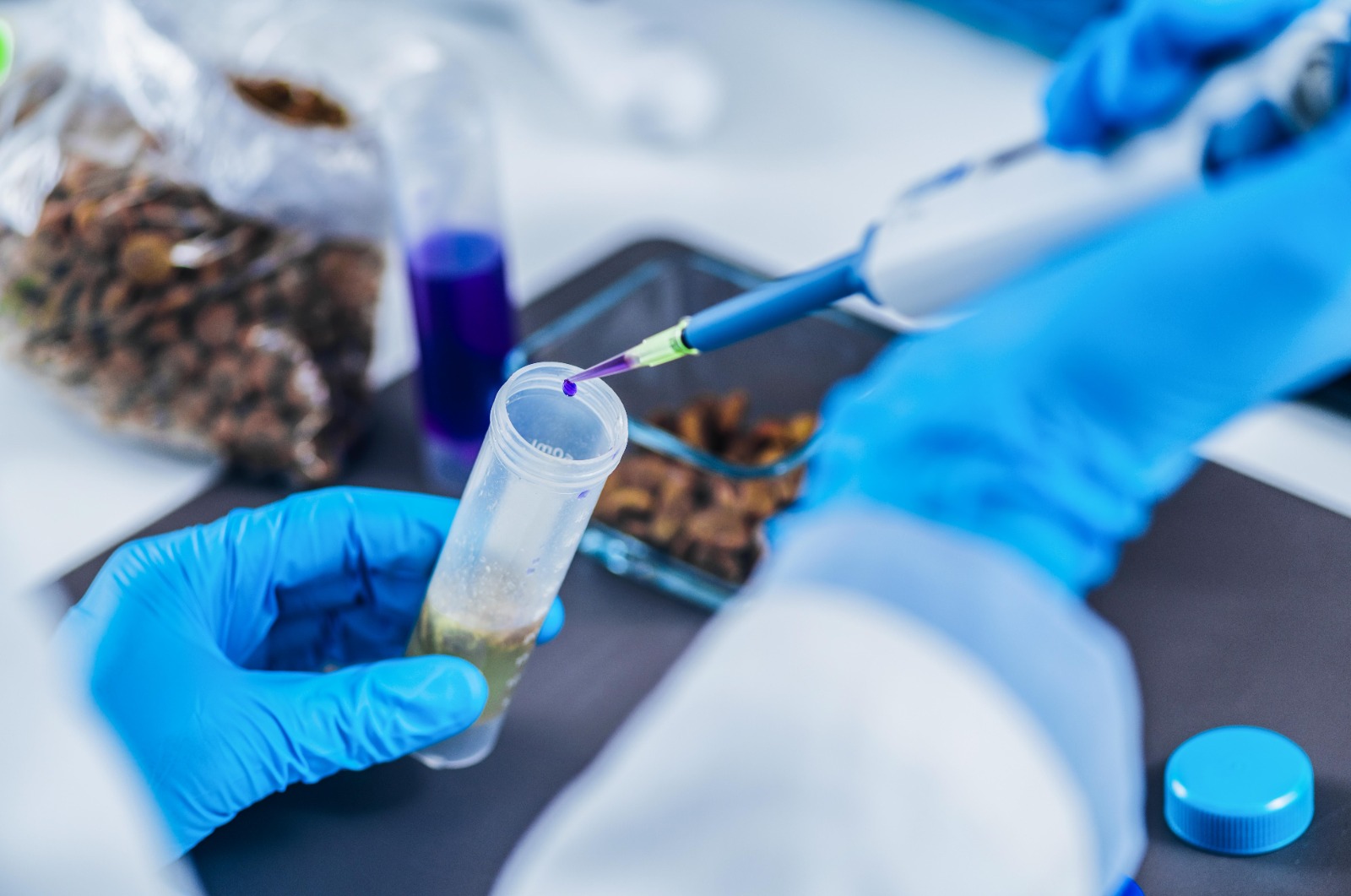 Inacal aprueba nuevas Normas Técnicas referente al análisis microbiológicos para evitar contaminación de alimentos