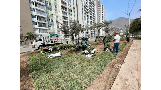 Màs àreas verdes en el Agustino