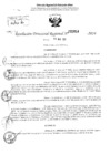 Vista preliminar de documento RDR 2614-2024