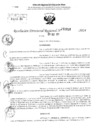 Vista preliminar de documento RDR 2618-2024