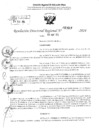 Vista preliminar de documento RDR 2619-2024