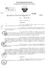Vista preliminar de documento RDR 2620-2024