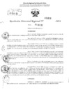 Vista preliminar de documento RDR 2623-2024