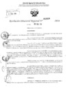 Vista preliminar de documento RDR 2624-2024